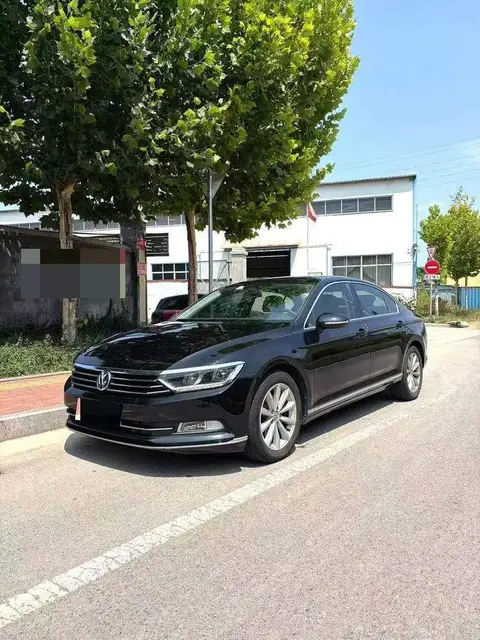 Magotan 2019 330TSI DSG Luxury National V