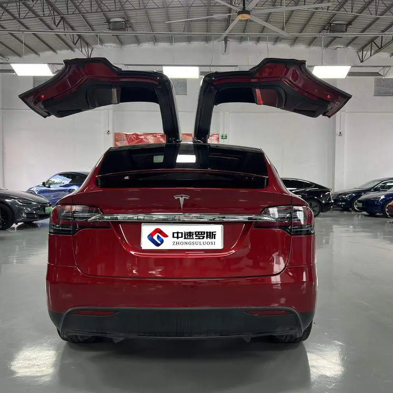 Model X 2019 Standard Range Edition — 6