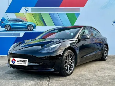 Model 3 2021 Standard Range RWD Upgraded 3D6