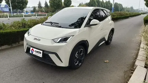 Seagull 2025 305km Freedom Edition