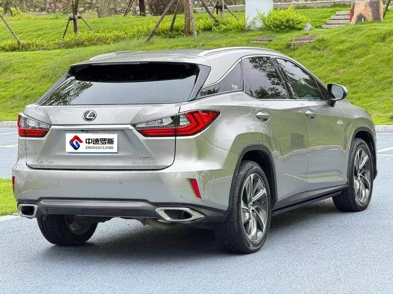 Lexus RX 2016 300 4WD Elegant Edition National VI — 6