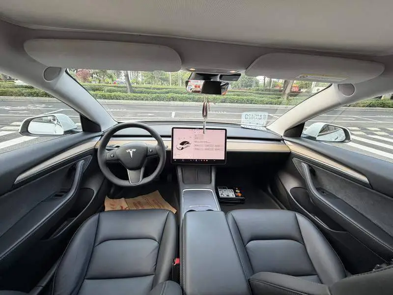Model 3 2021 Standard Range RWD Upgraded Version — 7
