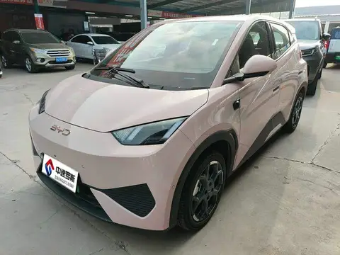 Seagull 2025 Smart Driving Edition 405km Flying Edition