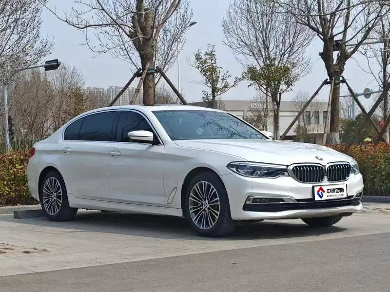 BMW 5 Series 2019 530Li Premium Luxury Package — 3