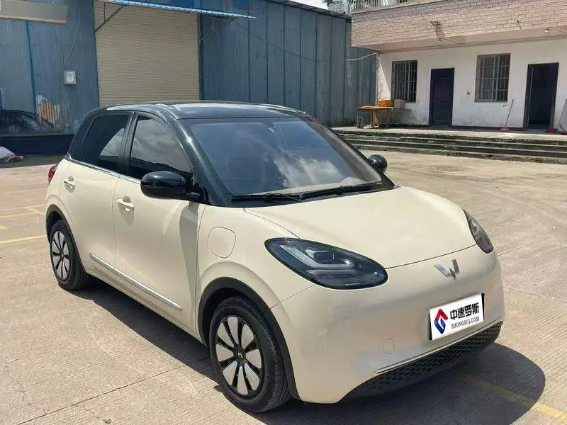 Wuling Bingo 2025 333km Lingxi Internet Model — 3