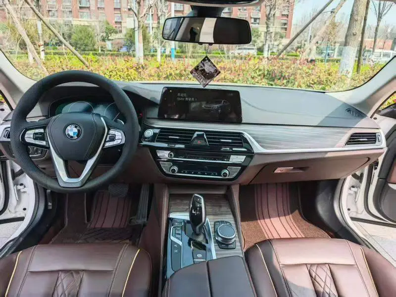 BMW 5 Series 2019 530Li Premium Luxury Package — 5