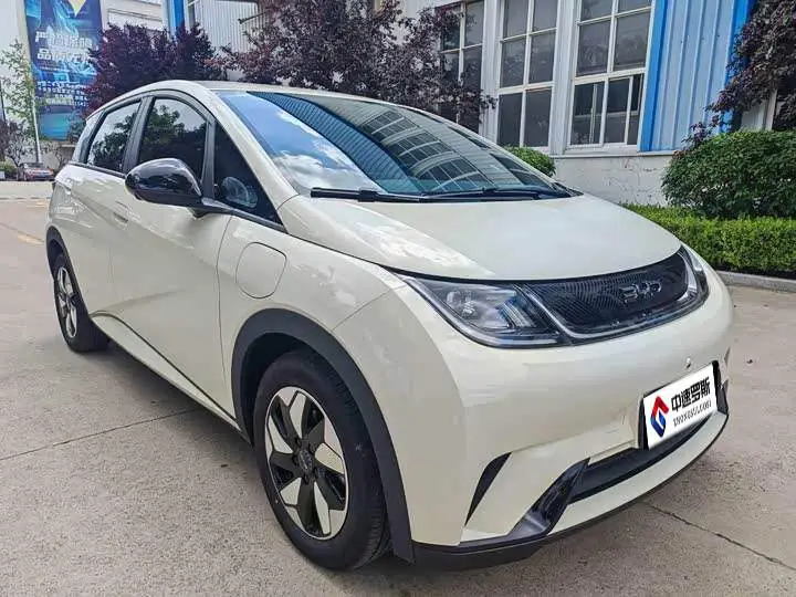 dolphin 2025 420km Freedom Edition — 3