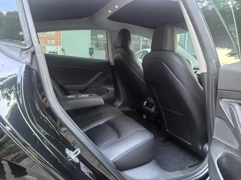 Model 3 2020 Standard Range RWD Upgraded Version — 17