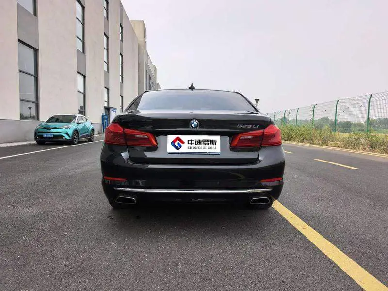 BMW 5 Series 2019 525Li Luxury Package — 6