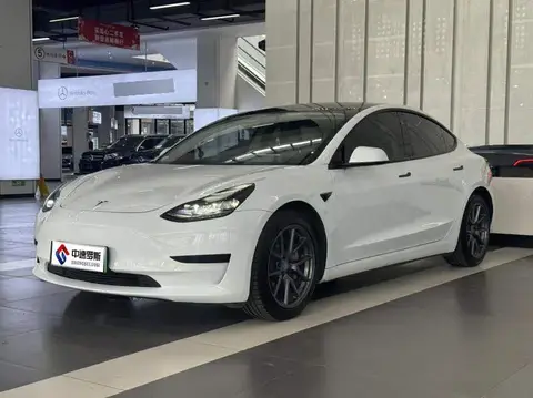 Model 3 2021 Standard Range RWD Upgraded 3D6