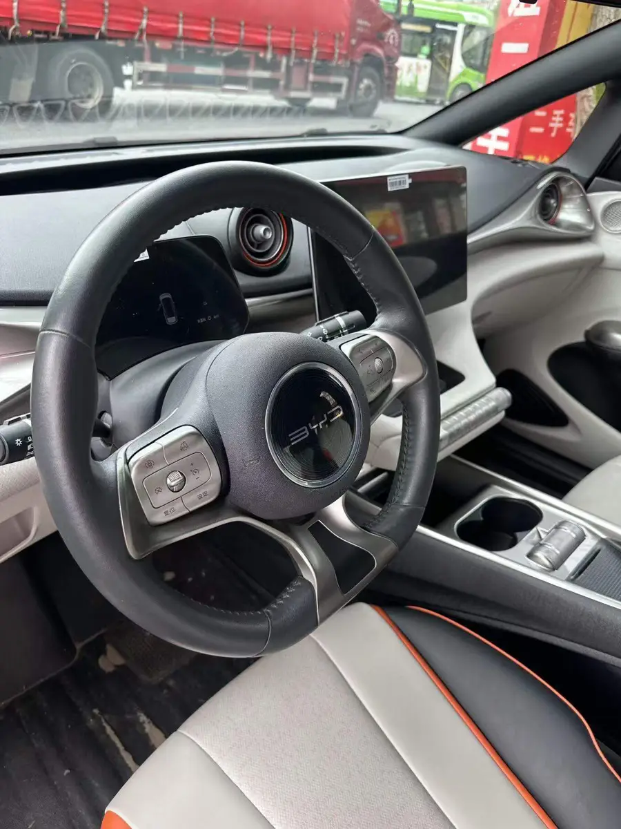 dolphin 2021 405km Freedom Edition — 9