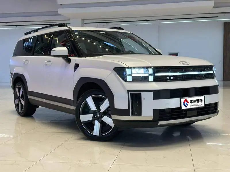 Shengda 2024 2.0T Explorer Pro — 3