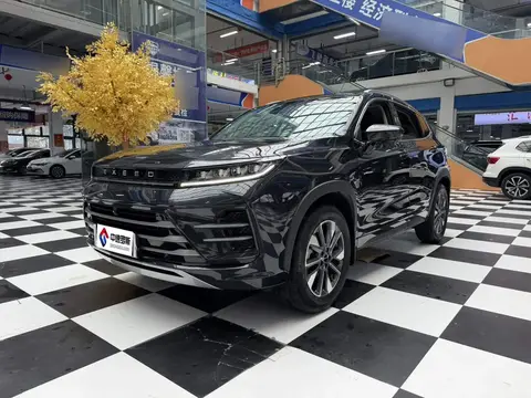 Star Chasing 2022 Riding the Wind and Waves Edition 1.5T CVT Yufengxing Edition