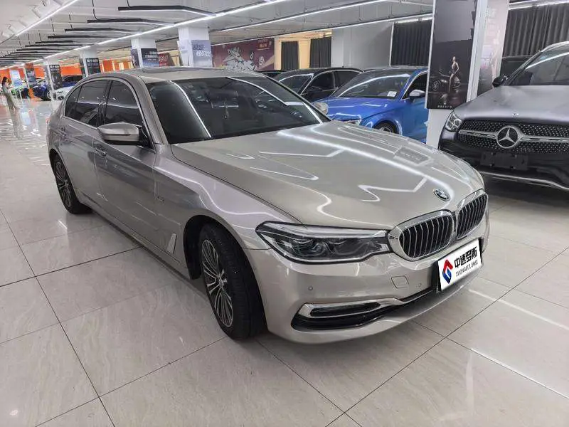 BMW 5 Series 2018 530Li Premium Luxury Package — 3