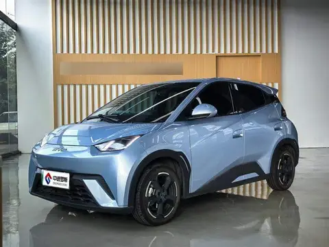 Seagull 2024 Honor Edition 305km Freedom Edition