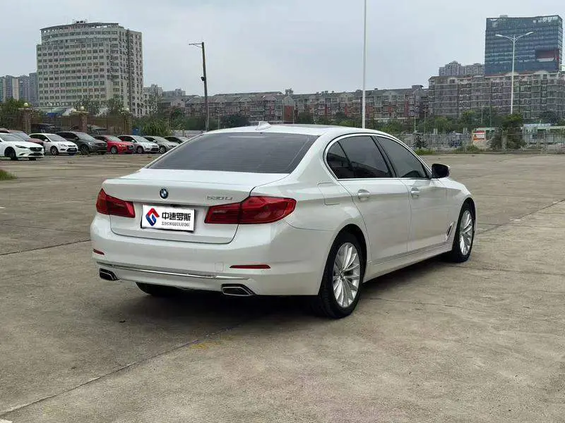BMW 5 Series 2019 530Li Leading Luxury Package — 4