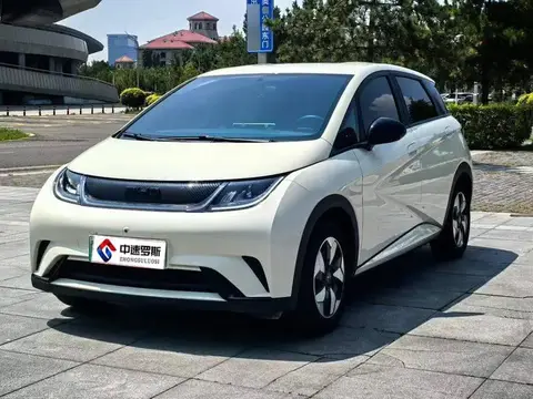 dolphin 2024 Honor Edition 420km Freedom Edition
