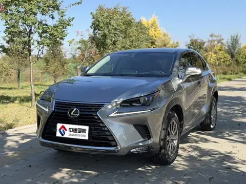 Lexus NX 2020 200 Front-Drive Fengyi Edition National VI