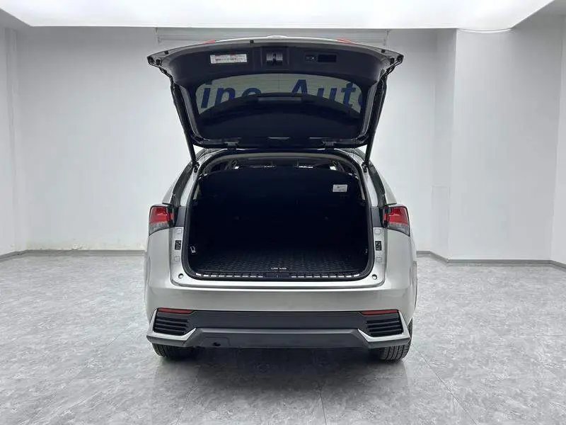 Lexus NX 2020 200 All-wheel Drive Front Edition National V — 20