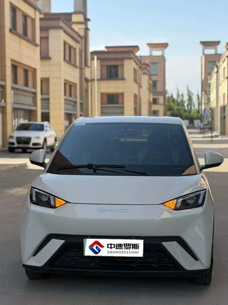 Seagull 2023 Vitality Edition — 2