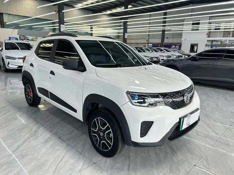 Dongfeng Nano EX1 2022 PRO Joy Star — 3