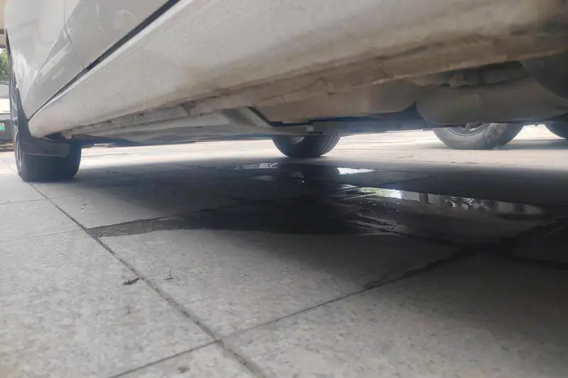 Golf 2021 280TSI DSG Pro — 7