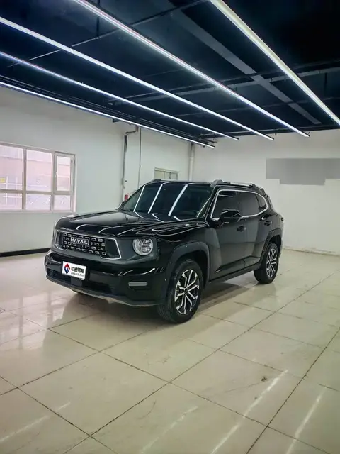 Haval Big Dog II 2023 2.0T 2WD Trendy Wild Edition Plus