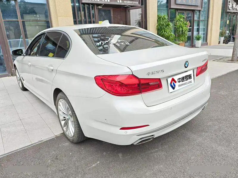 BMW 5 Series 2020 530Li Premium Luxury Package — 4