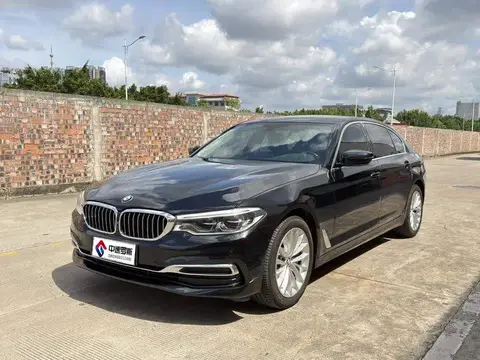 BMW 5 Series 2019 530Li Premium Luxury Package