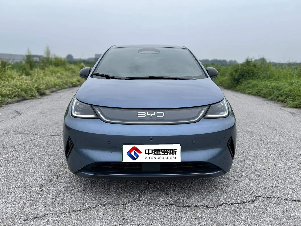 dolphin 2025 Smart Driving Edition 410km Fashion Edition — 2