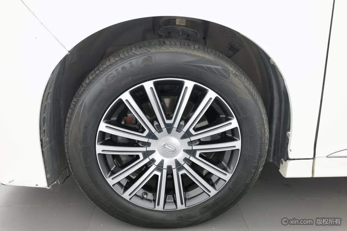 Trumpchi M8 2021 Lingxiu Series 390T Supreme Edition — 6