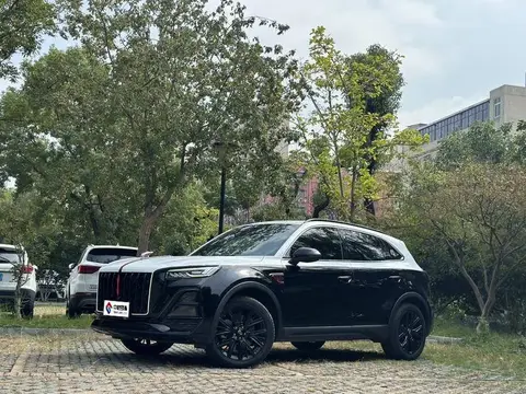 Hongqi HS5 2025 2.0T 2WD Shadow Edition
