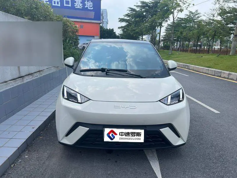 Seagull 2023 Flying Edition — 2