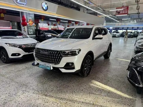 Haval H6 2023 National Trend Edition 1.5T Automatic City Edition