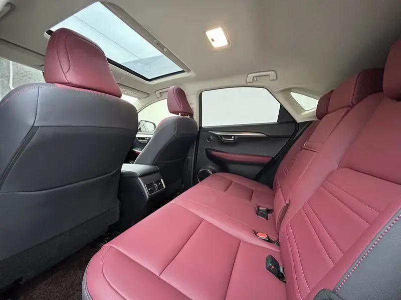 Lexus NX 2020 200 All-wheel Drive Front Edition National V — 17