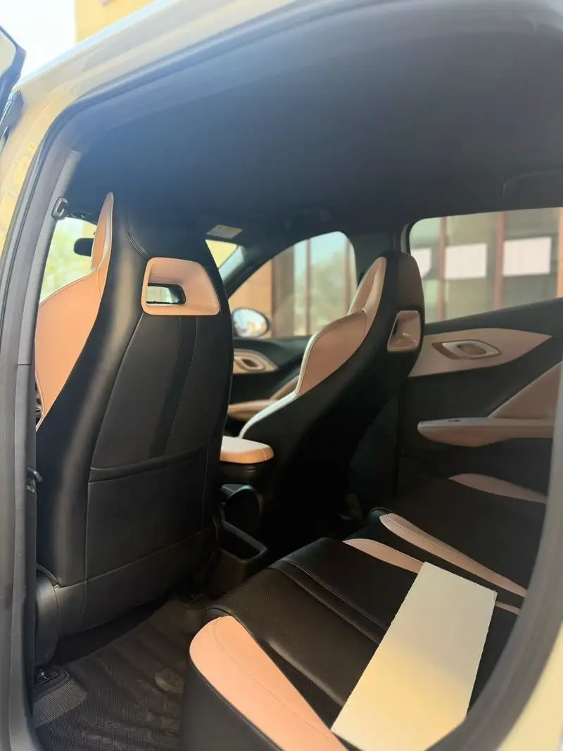 Seagull 2023 Vitality Edition — 10