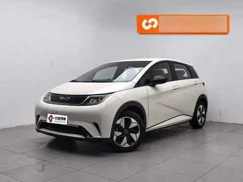 dolphin 2025 420km Freedom Edition