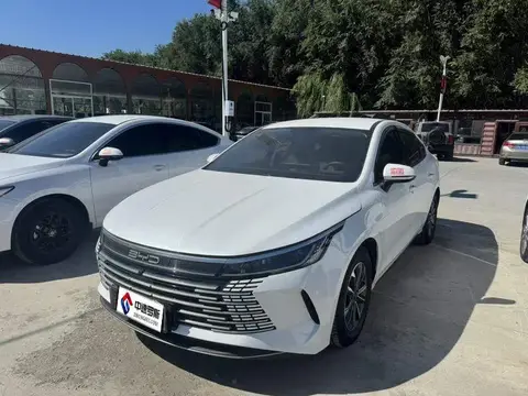 Destroyer 05 2024 Honor Edition DM-i 55KM Luxury