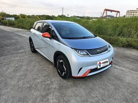 dolphin 2021 405km Freedom Edition