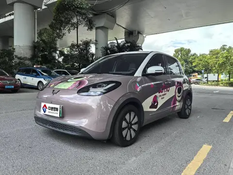 Wuling Bingo 2023 333km Express Edition