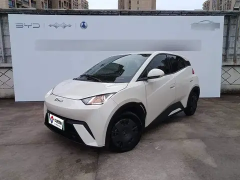 Seagull 2025 305km Vitality Edition