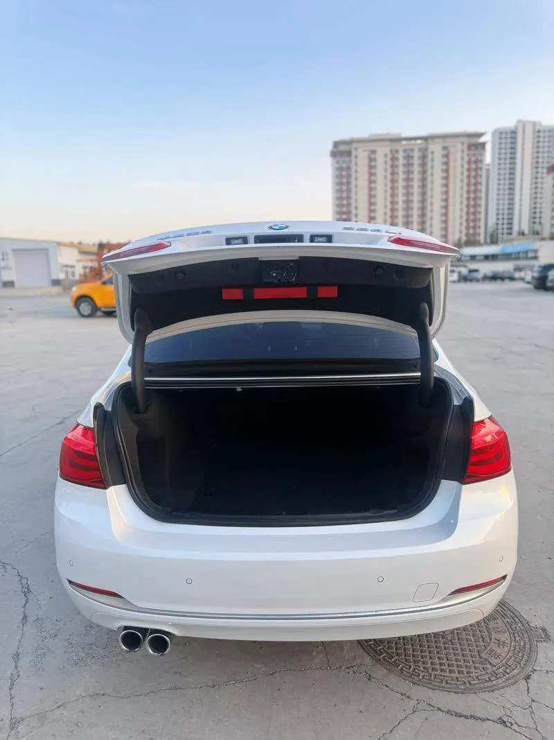 BMW 3 Series 2019 320Li Fashion Edition — 11