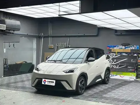 Seagull 2024 Honor Edition 305km Freedom Edition