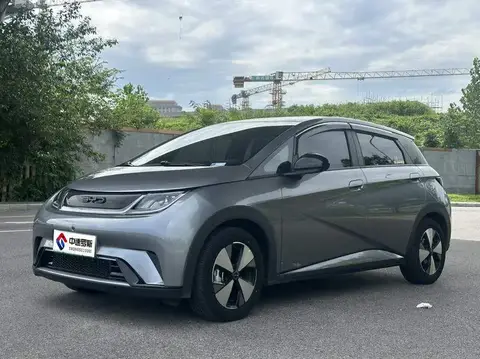 dolphin 2024 Honor Edition 420km Freedom Edition