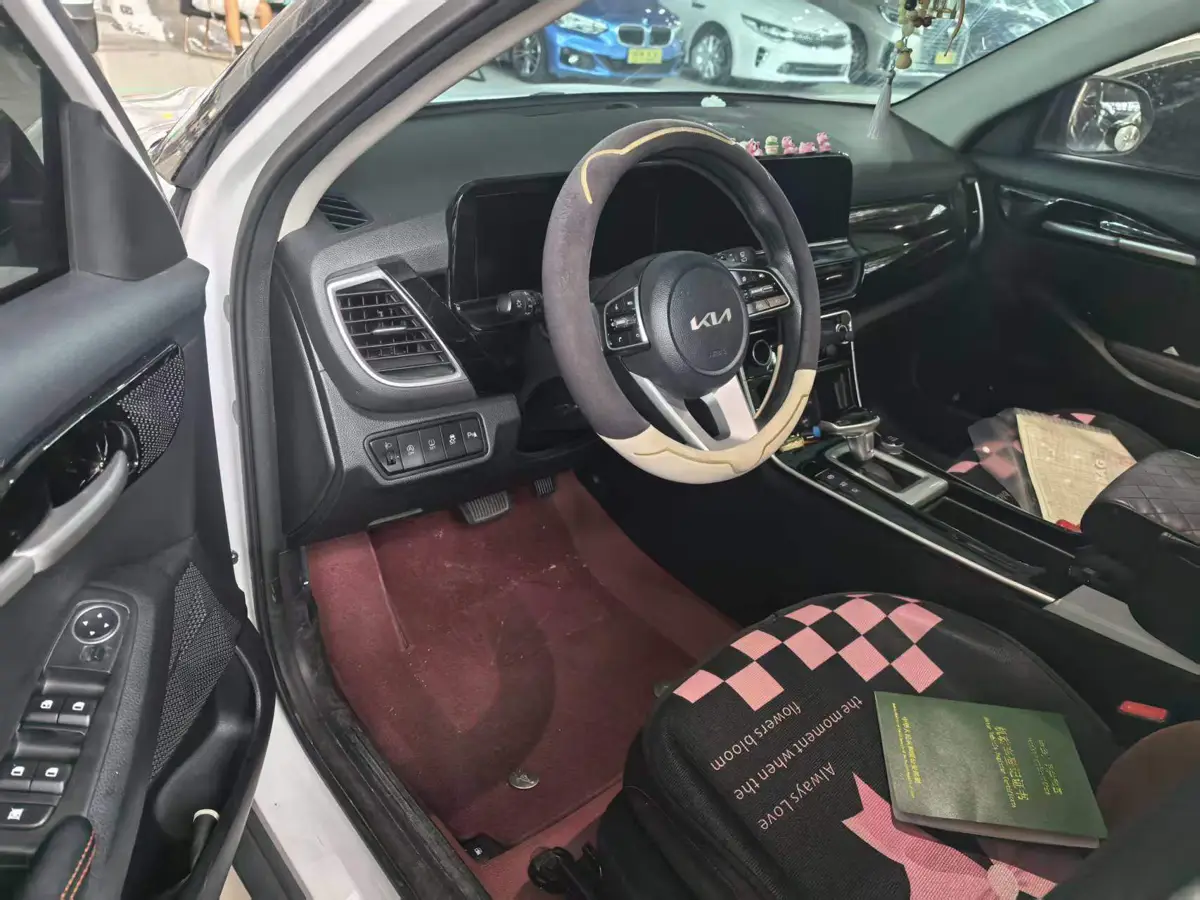 Cytus 2023 1.5L CVT Luxury Edition — 5