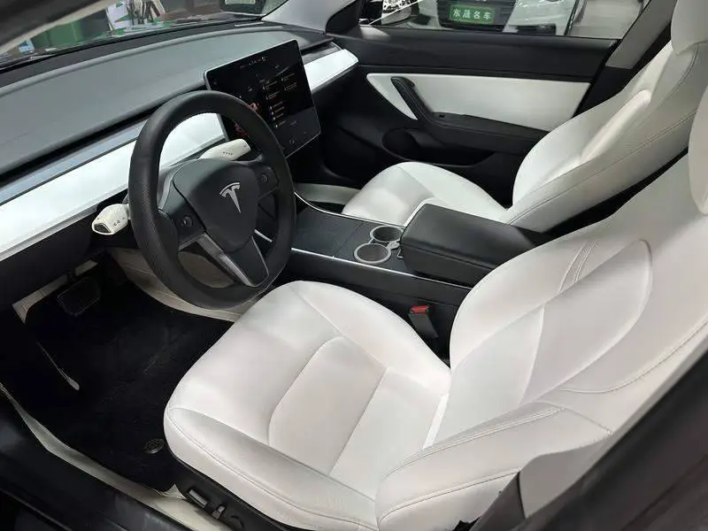 Model 3 2020 Standard Range RWD Upgraded Version — 8