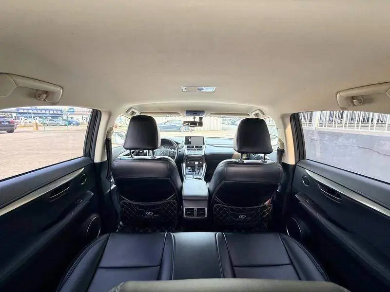 Lexus NX 2020 200 Front-Drive Vanguard Edition National VI — 19