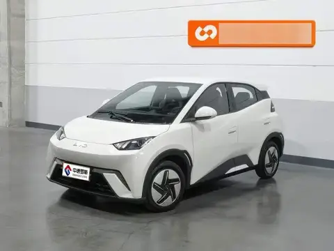 Seagull 2025 305km Vitality Edition