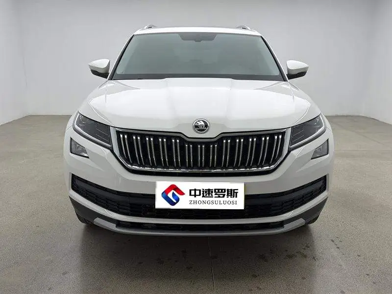 Kodiak 2020 TSI330 5-seater 2WD Luxury Edition — 2