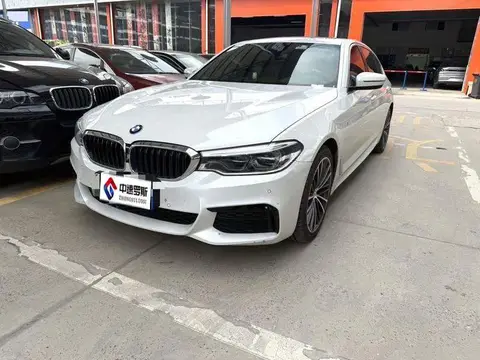 BMW 5 Series 2020 530Li Leading M Sport Package